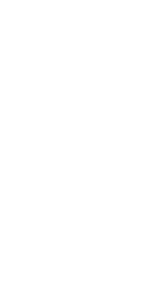 Primary Line Pro logo